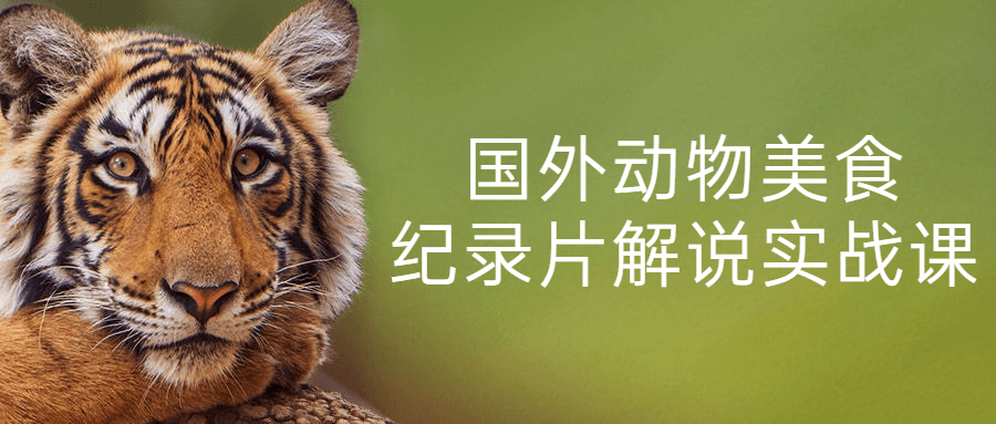 国外动物美食纪录片解说实战课-趣奇资源网-第3张图片 国外动物美食纪录片解说实战课-趣奇资源网-第3张图片