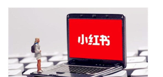 开始做小红书如何选择赛道-趣奇资源网-第3张图片 开始做小红书如何选择赛道-趣奇资源网-第3张图片